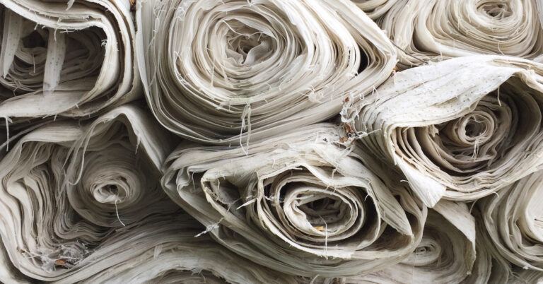 cotton_resized