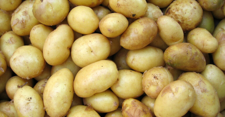 potatoes_Resized